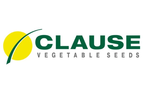 Clause